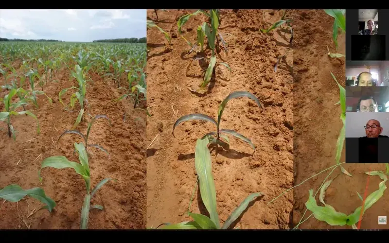 Manejo de Suelos Ácidos y Nutrición de Cultivos en Condiciones de La Selva Peruana