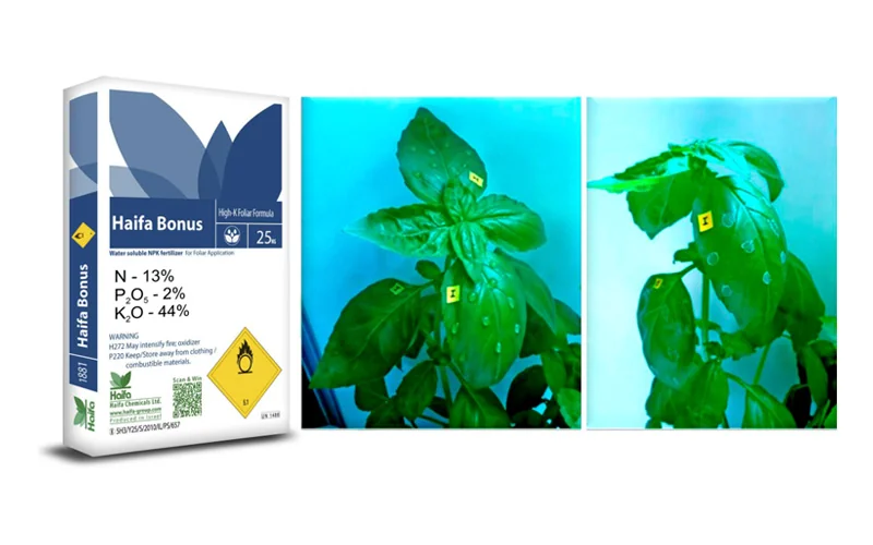BONUS-npK 13 - 2 - 44 Una formulación de K-Foliar innovadora y altamente eficiente