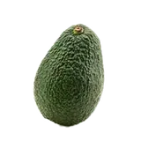 Palto