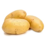Papa