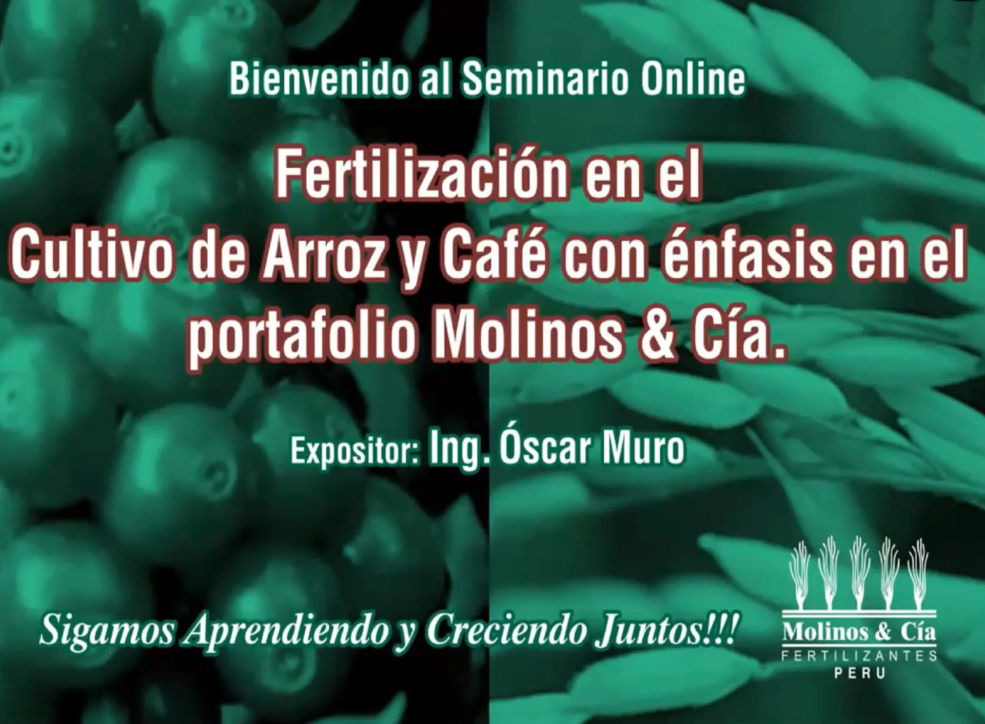 Fertilización en el Cultivo de Arroz y Café con énfasis en el portafolio Molinos & Cía.