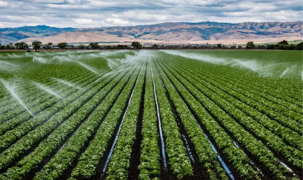 El Agua de Riego y la Salinización de los Suelos en la Costa Peruana