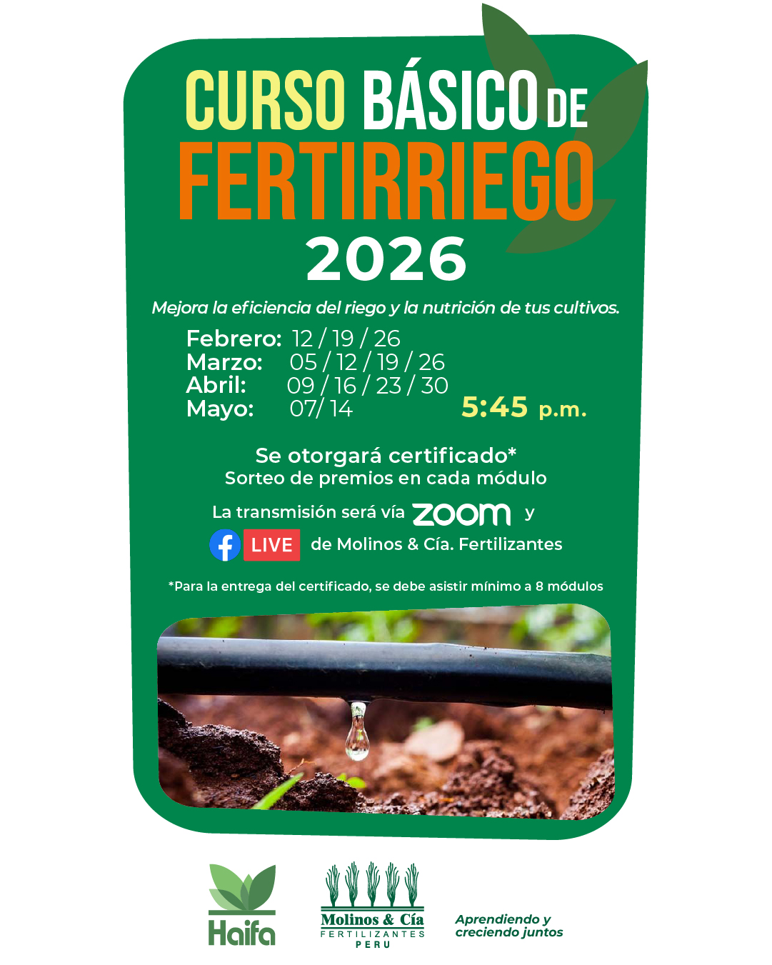 curso fertirriego
